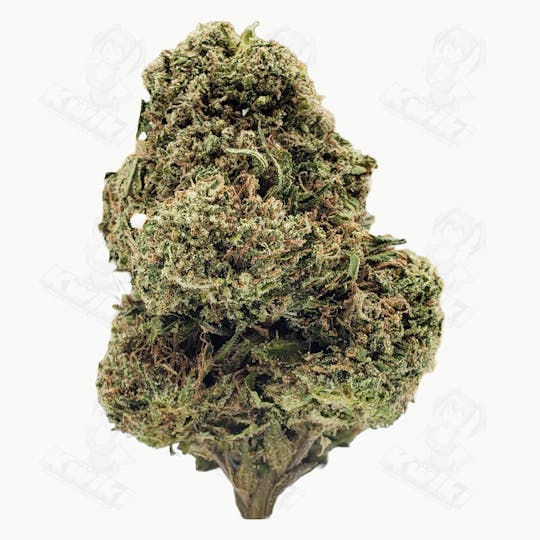 Oro - COOKIES & CREAM *TOPSHELF* - 1