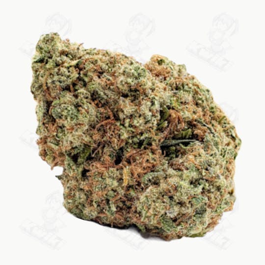 Oro - RAINBOW MINTS *TOPSHELF* - 1