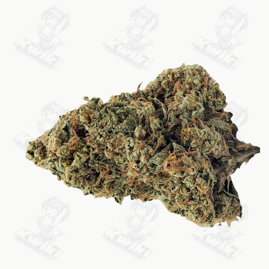 Oro - CANDY KUSH *TOPSHELF* - 1