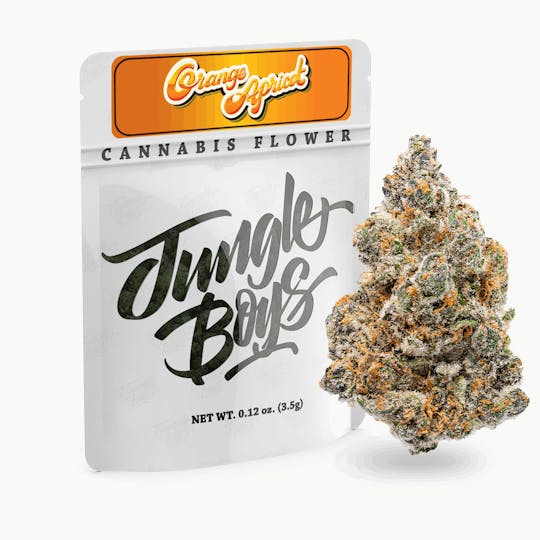 Jungle Boys - Jungle Boys | Orange Apricot - 3.5g Mylar - 1