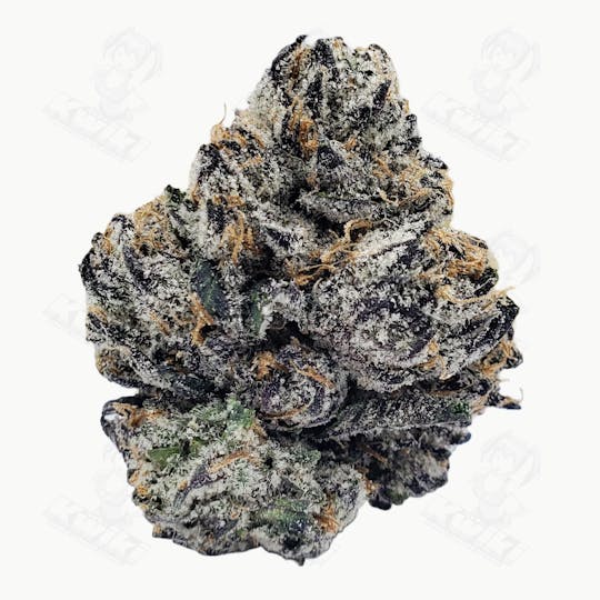 Oro - LEMON POPPERS *ULTRA EXOTIC* - 1