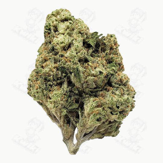 Oro - STRAWBERRY *GREENHOUSE* - 1