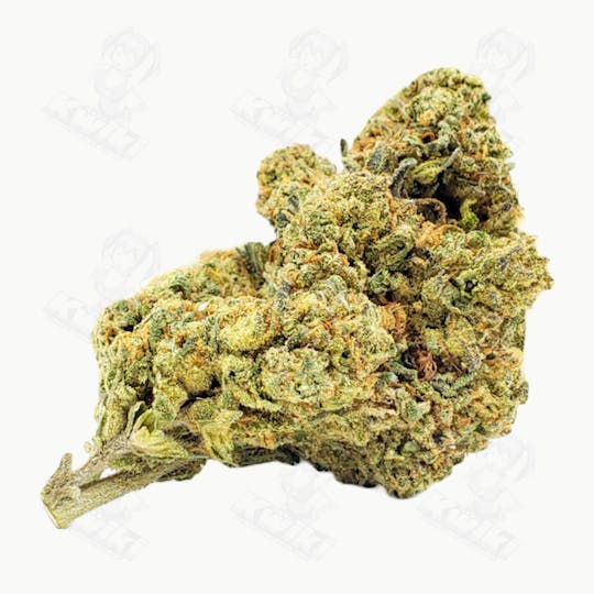 Oro - GOD'S GIFT *GREENHOUSE* - 1