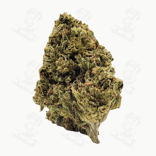 Oro - GOLDEN GRAHAM *SUNGROWN* - 1