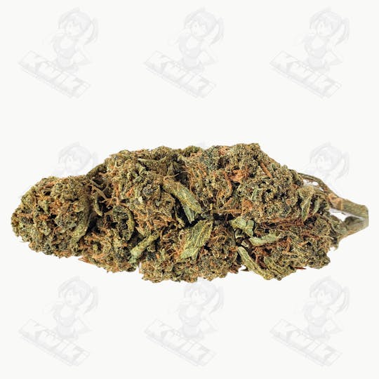 Oro - LEMON HEAD *SUNGROWN* - 1