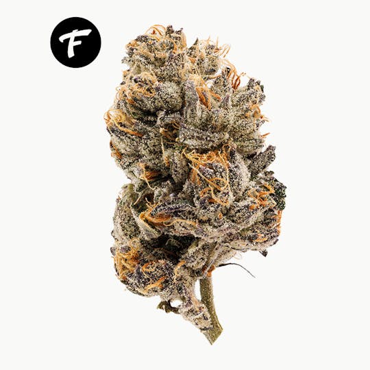 Forte Cannabis - Sour Runtz - 25.58% THC - 1
