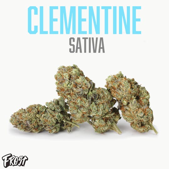 Frost - Clementine (28% THC Sativa) - 1