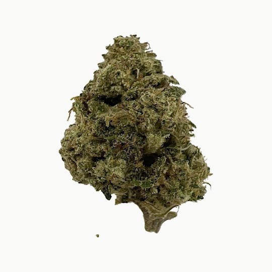 Indico - Sasquash Apoxy - $100oz - 1