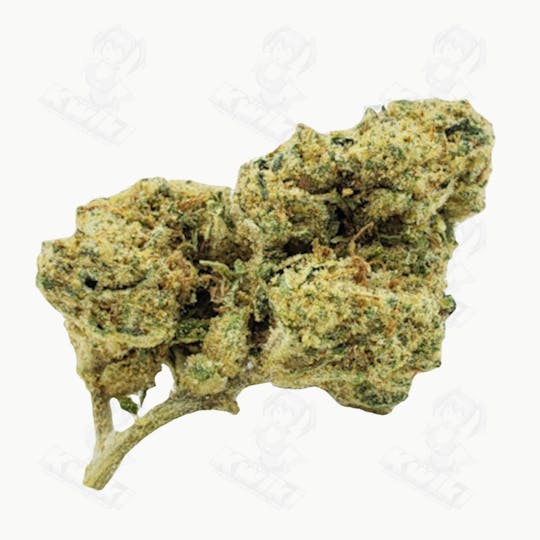 Oro - BIG BLOCK *GREENHOUSE* - 1