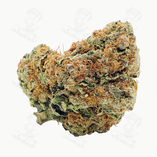 Oro - MOCHIE *GREENHOUSE* - 1