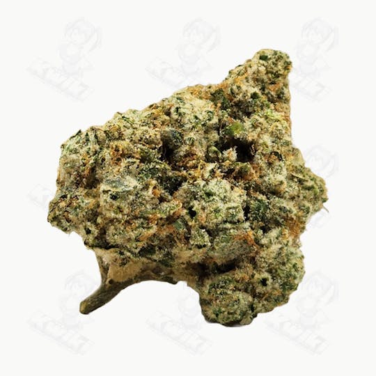 Oro - SOUR HEADBAND *EXOTIC* - 1