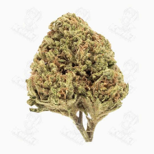 Oro - SPACE COOKIES *SUNGROWN* - 1