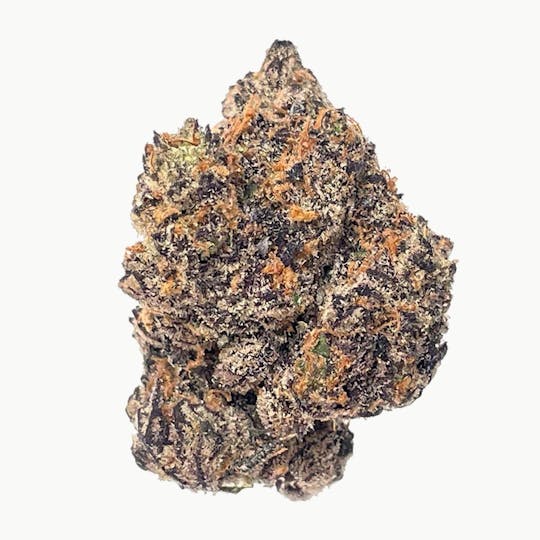 Blue Chip - HDK 7G - 1