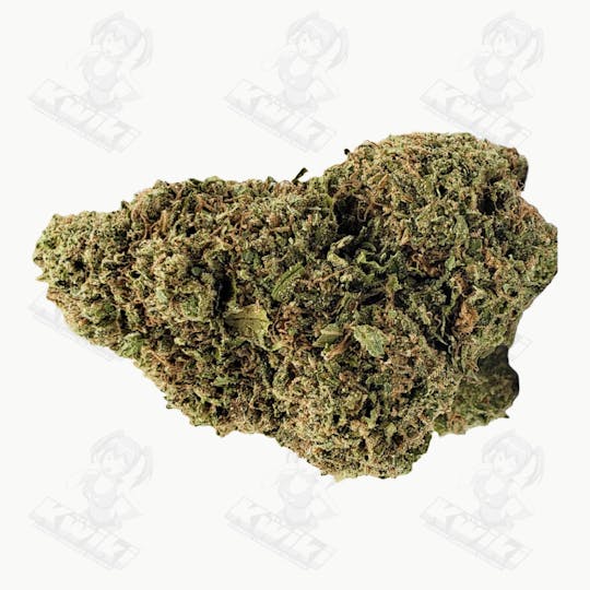 Oro - VANILLA FROST *GREENHOUSE* - 1