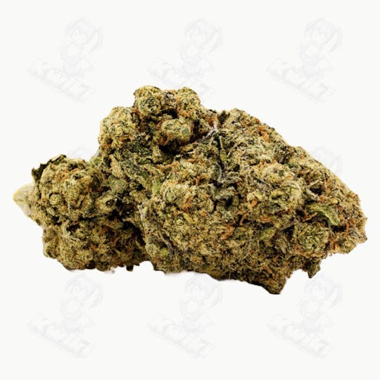 Oro - WIFI OG *GREENHOUSE* - 1