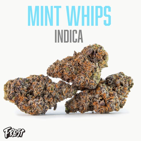 Frost - Mint Whips (30% THC Indica) - 1