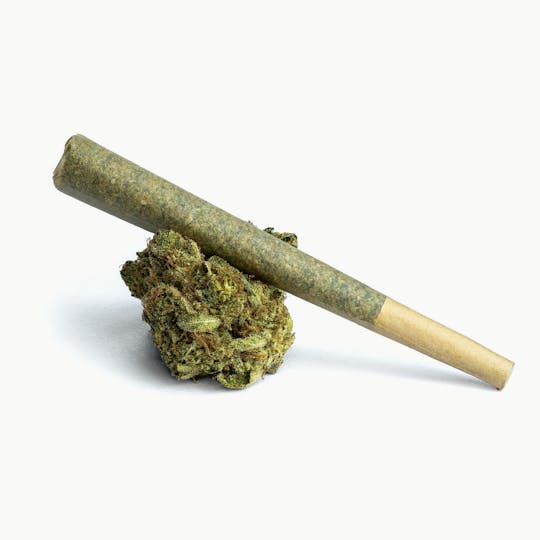 Oro - TOPSHELF 1G PREROLL - GSC 3/$24 - 1