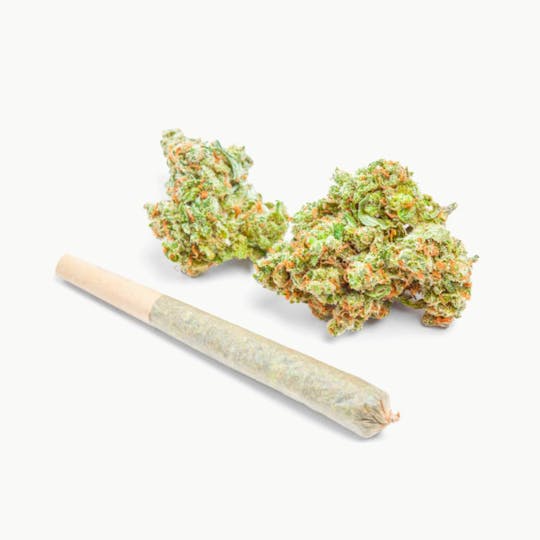 Oro - EXOTIC 1G PREROLL - GODS GIFT 3/$39 - 1