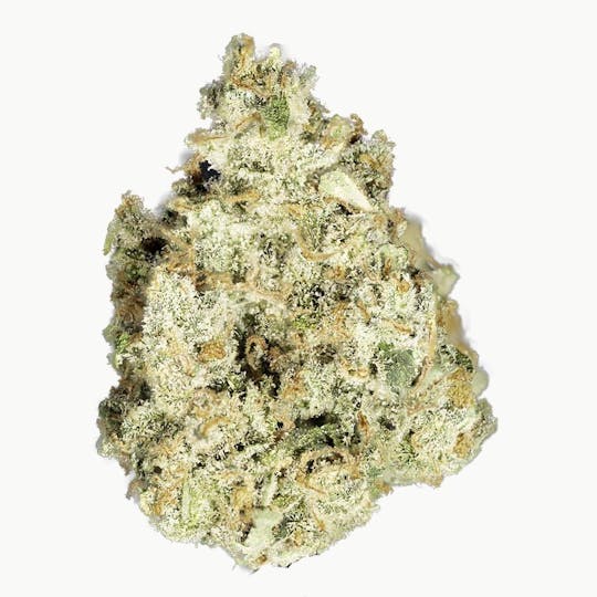 Blue Chip - Original Jack 1G - 1