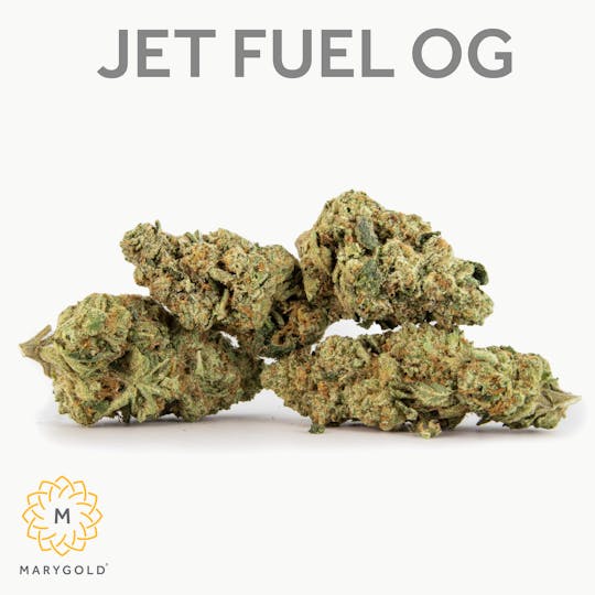 Marygold - Jet Fuel OG 14g (29% THC Indica) - 1