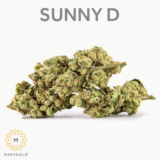 Marygold - Sunny D 3.5 (33% THC Sativa) - 1