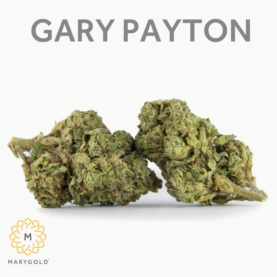 Marygold - Gary Payton 3.5g (34% THC Sativa) - 1