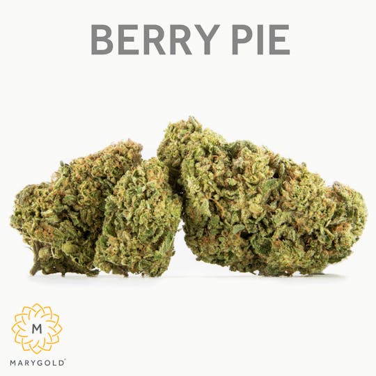 Marygold - Berry Pie 3.5g (29% THC Hybrid) - 1