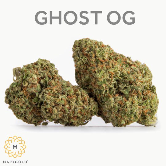 Marygold - Ghost OG 14g (Indoor 25% THC Indica) - 1