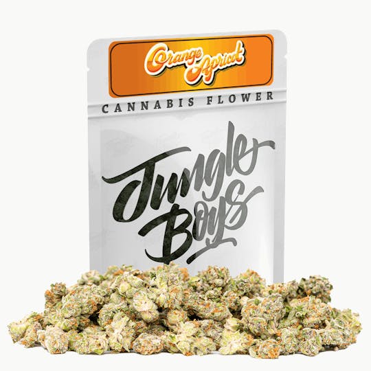 Jungle Boys - Jungle Boys | Orange Apricot - 10g Smalls - 1