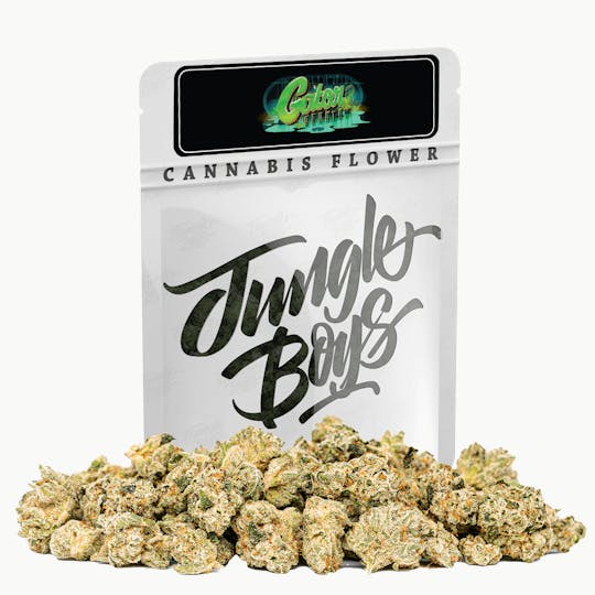 Jungle Boys - Jungle Boys | Gator Breath - 10g Smalls - 1