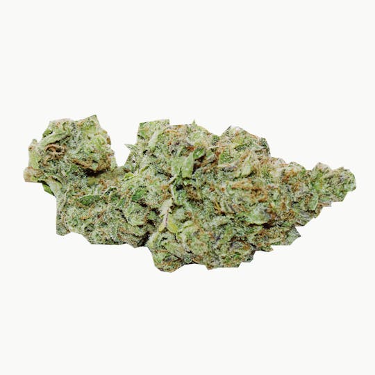 Trusty Transportations - Gelato Jet Fuel 1/4 Ounce/7Grams(32%THC,HYBRID) - 1
