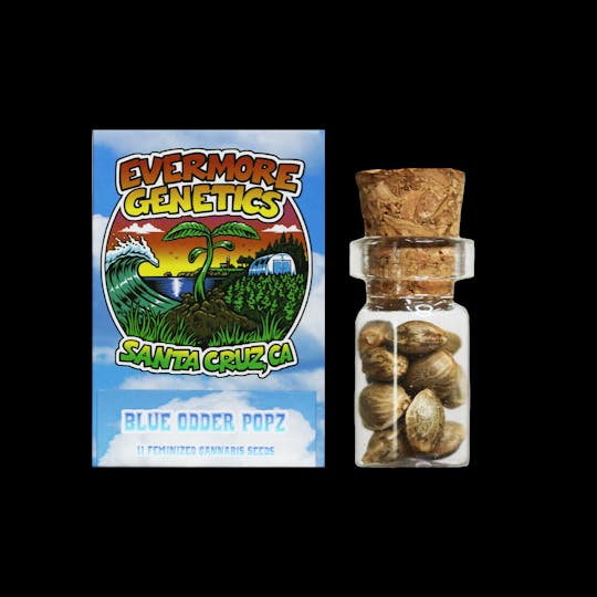 Crème De Canna - EVERMORE GENETICS Odder Popz - 1