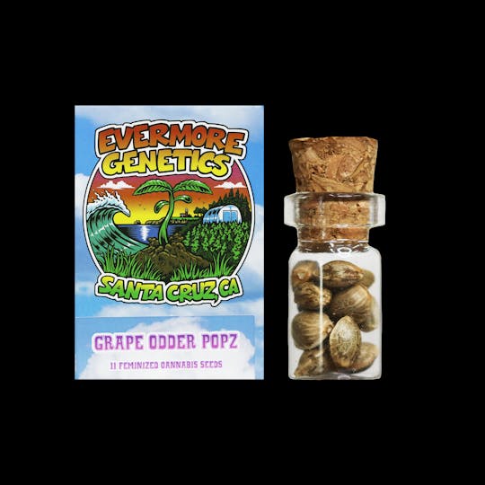 Crème De Canna - Evermore Genetics Grape Odder Popz - 1