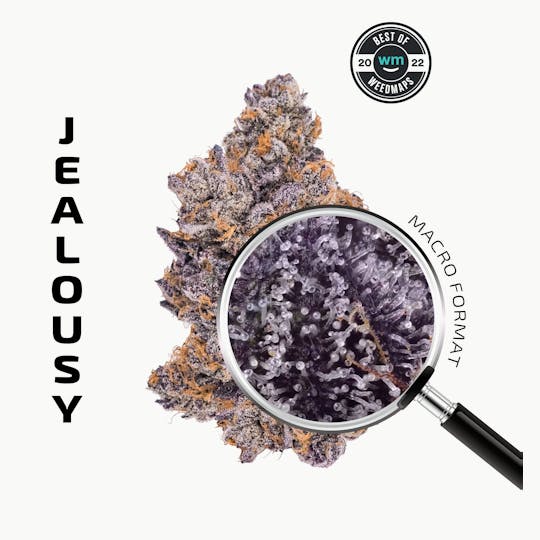 APE Premium Cannabis Corp - JEALOUSY (Hybrid) — 3.54g Premium Flower - 1