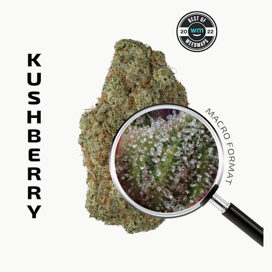 APE Premium Cannabis Corp - KUSHBERRY (Indica) — 3.54g Premium Flower - 1