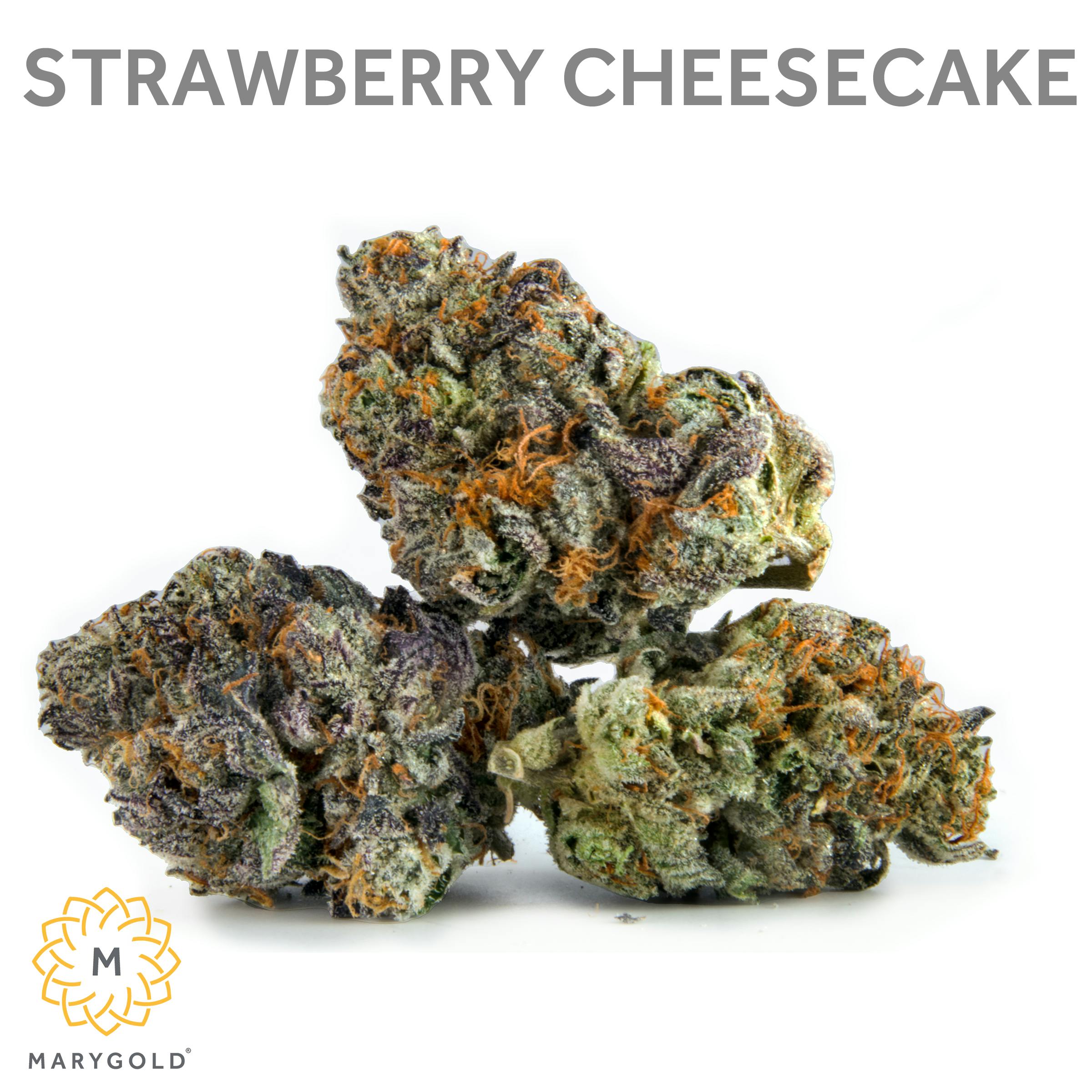 Strawberry Cheesecake 3.5g (INDOOR Hybrid 29% THC) - Marygold