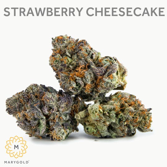 Marygold - Strawberry Cheesecake 3.5g (INDOOR Hybrid 29% THC) - 1