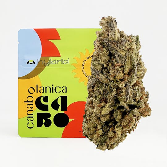 Canabotanica - Banana Runtz - 3.5g - Sungrown Flower - 1