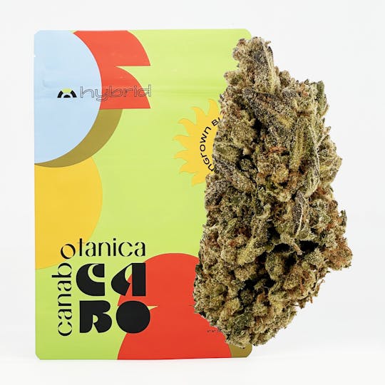 Canabotanica - Banana Runtz - 28g - Sungrown Flower - 1