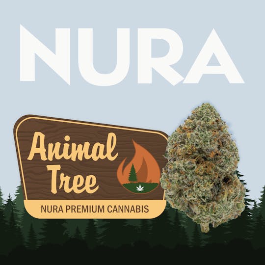 Nura - Animal Tree - 1