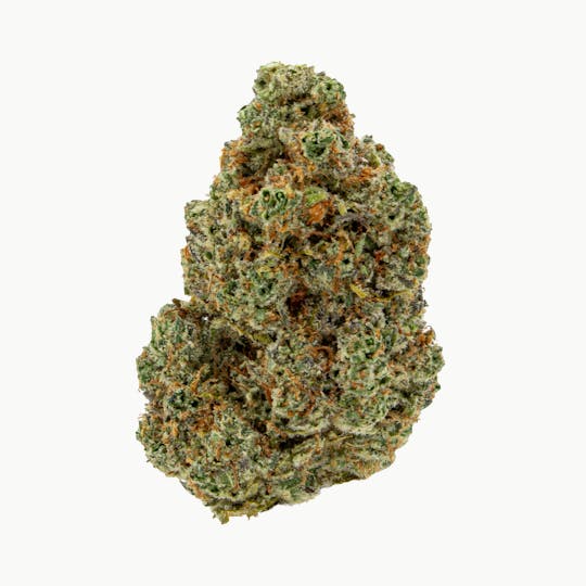 Nura - Rocket Fuel - 1