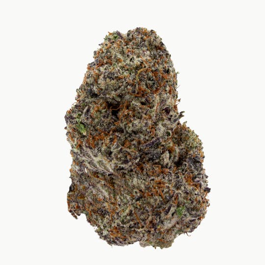 Nura - Black Cherry Gas - 1
