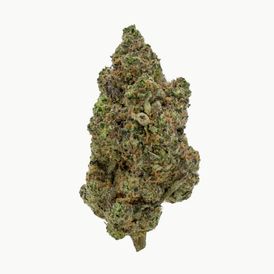 Nura - Shamrock Shake - 1