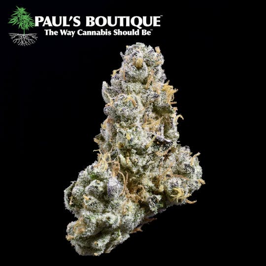 Paul's Boutique - Garlic Cookies - 1