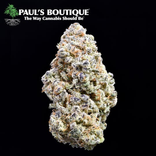 Paul's Boutique - Grapeology - 1