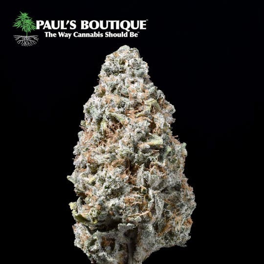 Paul's Boutique - Lotus Blossom - 1