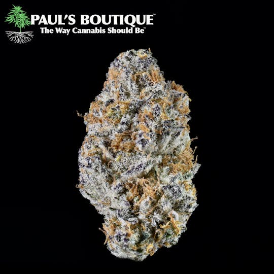 Paul's Boutique - Nevada Mints - 1