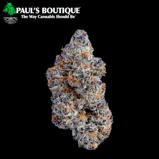 Paul's Boutique - Pure Michigan - 1