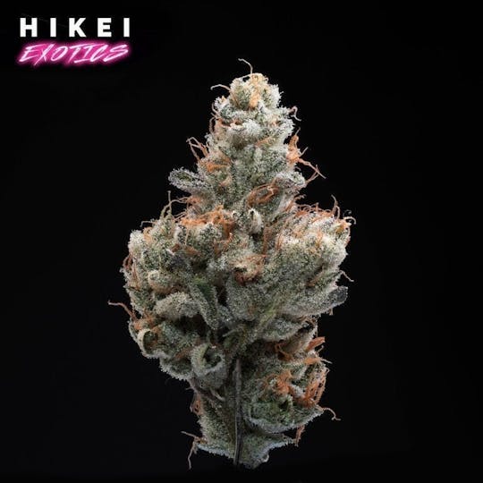 Hikei Exotics - Animal Mintz X Kush Mintz Zip 28g - 1