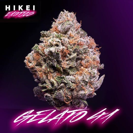 Hikei Exotics - Gelato 41 Zip 28g - 1